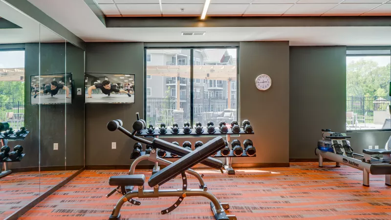 Modern fitness room with dumbbells, a weight bench, exercise bike, rowing machine, orange carpet, and large windows.