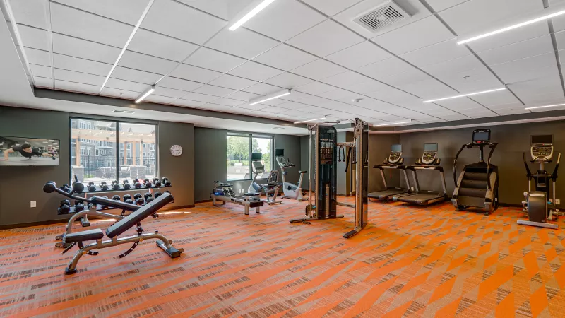 Spacious modern gym with orange patterned carpet, weight benches, dumbbells, treadmills, ellipticals, and large windows.