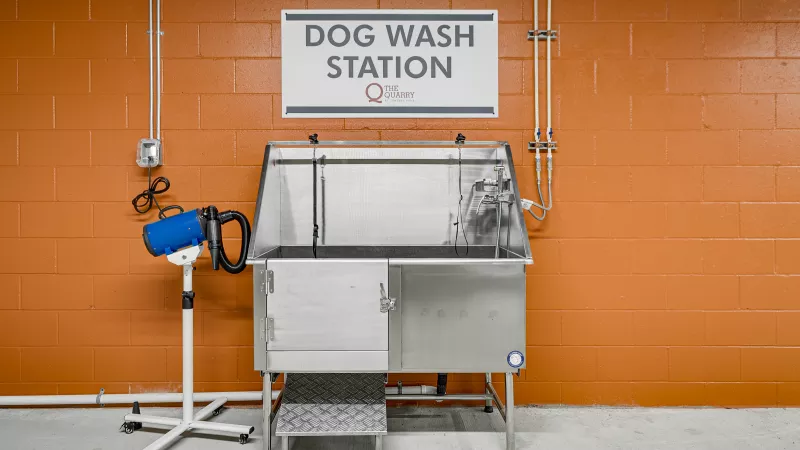 Stainless steel dog wash station with a blue pet dryer, against an orange wall.