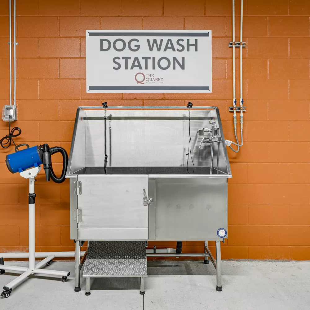 Stainless steel dog wash station with a blue pet dryer, against an orange wall.