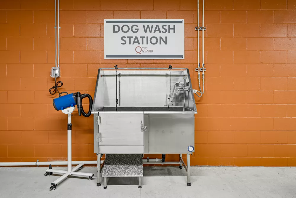 Stainless steel dog wash station with a blue pet dryer, against an orange wall.